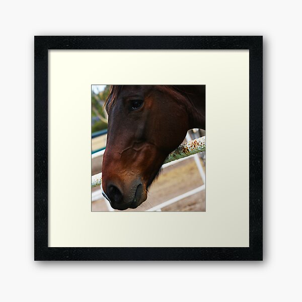 Item preview, Horse Cliche: Why the long face? designed and sold by Ransyn Art.