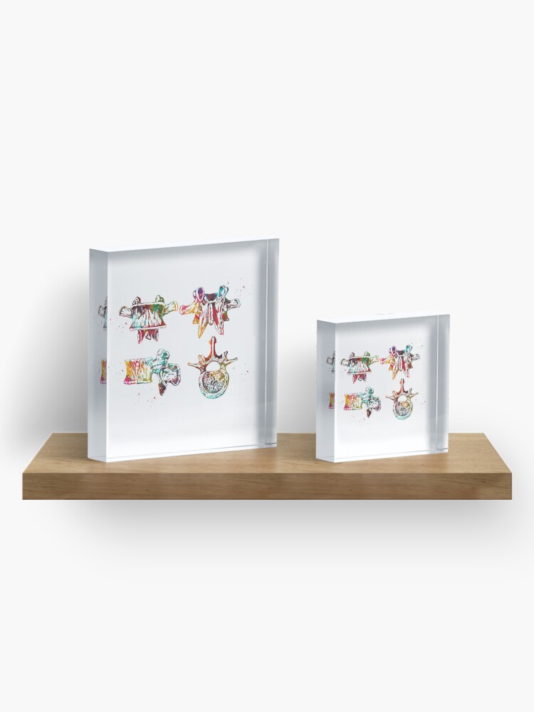 Alternate view of Lumbar spine structure Acrylic Block