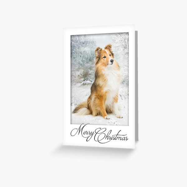 Item preview, Sweet Sheltie Christmas designed and sold by DogLove.