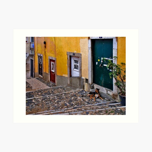 Beware of the dog..... Art Print