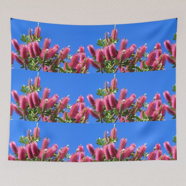 Item preview, Red Bottlebrush (Callistemon), Australia designed and sold by Geoffrey Higges.
