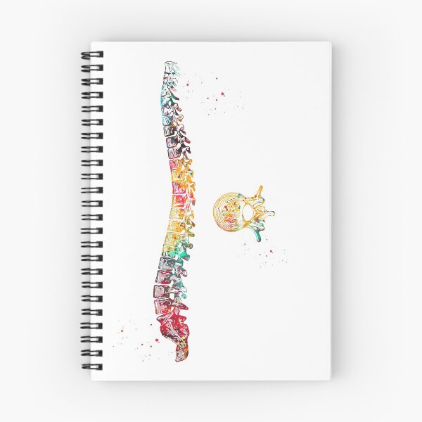 Item preview, Spine with vertebra designed and sold by Liededrom..