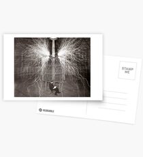 Tesla In Study Postcards