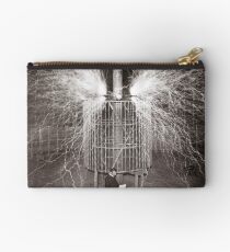 Tesla In Study Studio Pouch