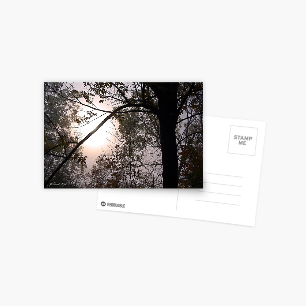 Breaking Dawn Postcard
