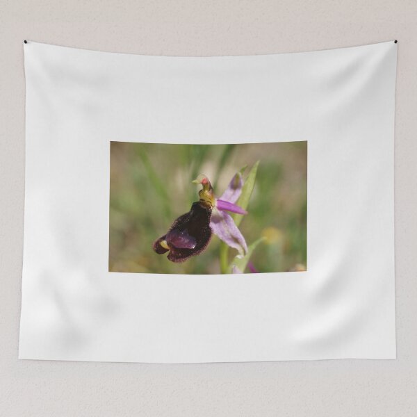 Item preview, Bertoloni's Bee Orchid designed and sold by marens.
