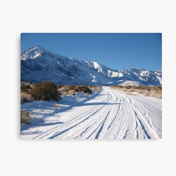 Desert Snow December 2008 Canvas Print
