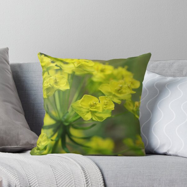 Item preview, Cypress Spurge designed and sold by marens.