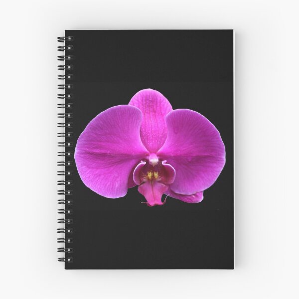 Item preview, Purple orchid designed and sold by carrizizi.