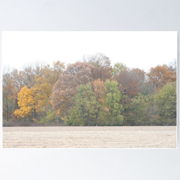 Colors From Across The Field Poster
