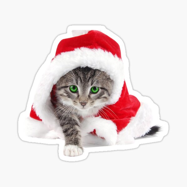 Item preview, Christmascat designed and sold by DrTigrou.