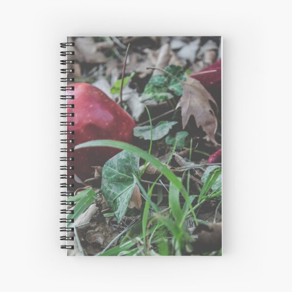 Apple-side Spiral Notebook