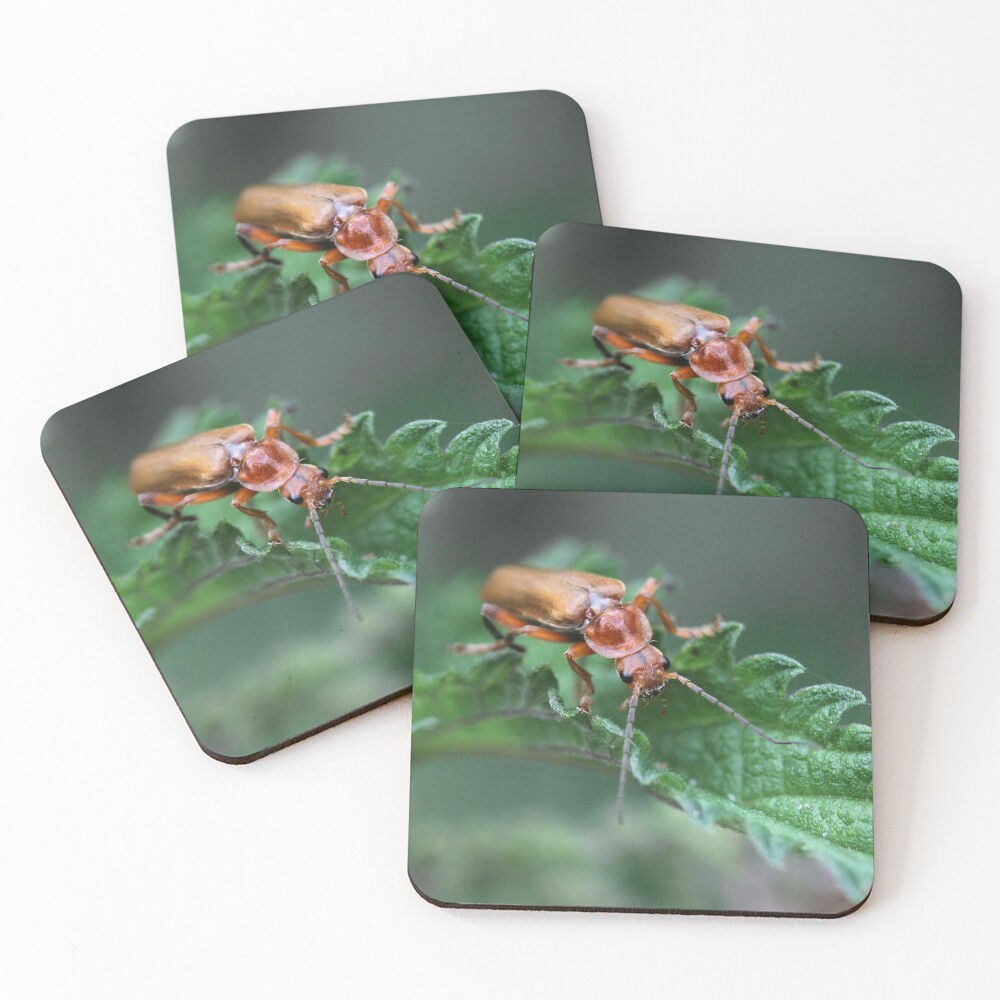 Item preview, Coasters (Set of 4) designed and sold by cuprum.