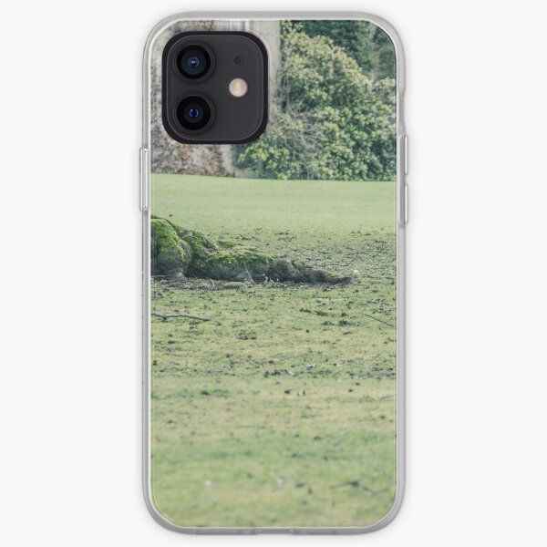 Ireland 2 iPhone Soft Case