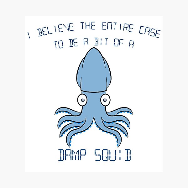 IT Crowd - the entire case is a bit of a damp squid Photographic Print