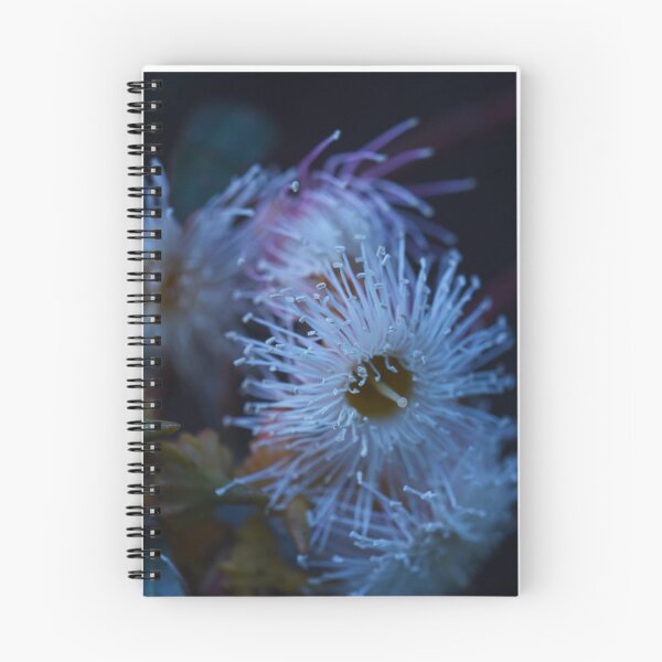 Item preview, Flowering Mallee Tree designed and sold by imaginethis.
