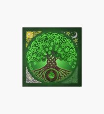 Lámina de exposición Circle Celtic Tree of Life