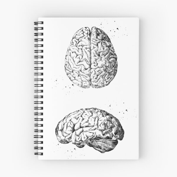 Item preview, Human Brain designed and sold by Liededrom..