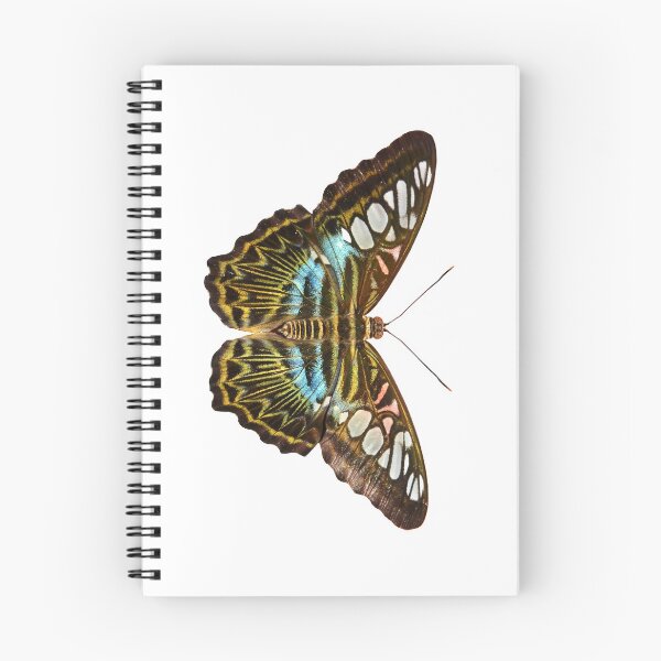 Item preview, Clipper Butterfly designed and sold by neil harrison.