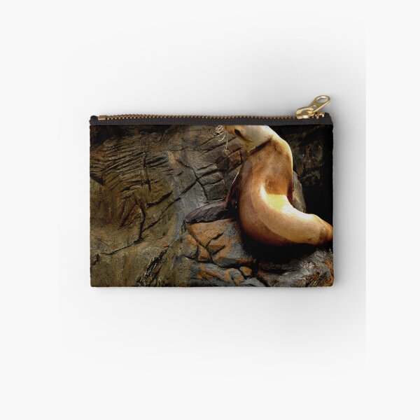Item preview, Sea Lion on the Rocks designed and sold by Martin Ingley.