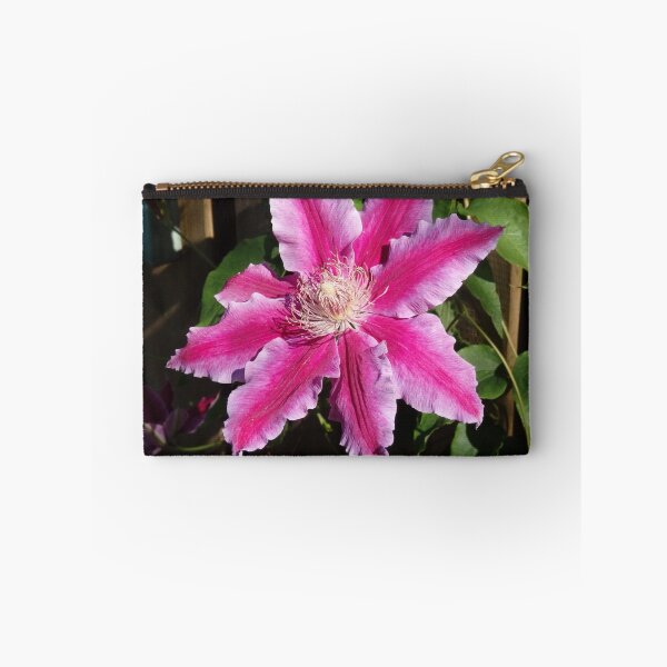 Item preview, Clematis designed and sold by Janone.