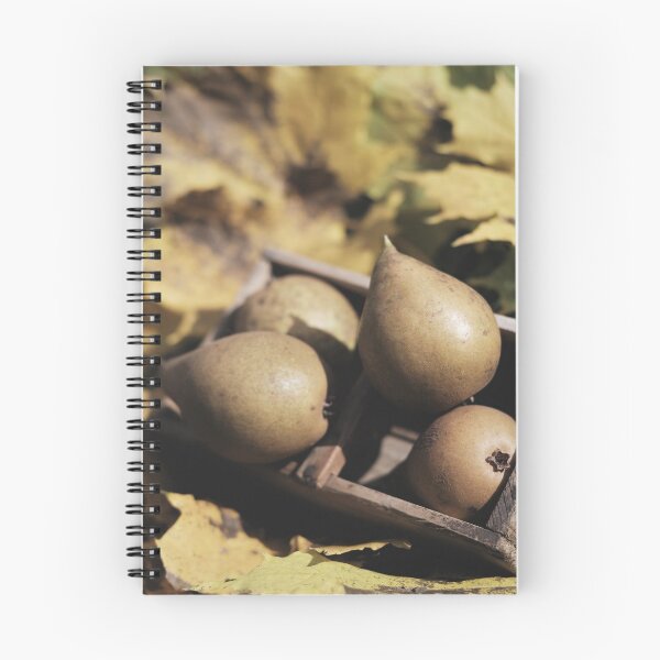 Item preview, Fall still life pear pyrus fruit designed and sold by Claraveritas.