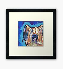 Briard Dog Bright colorful pop dog art Framed Print