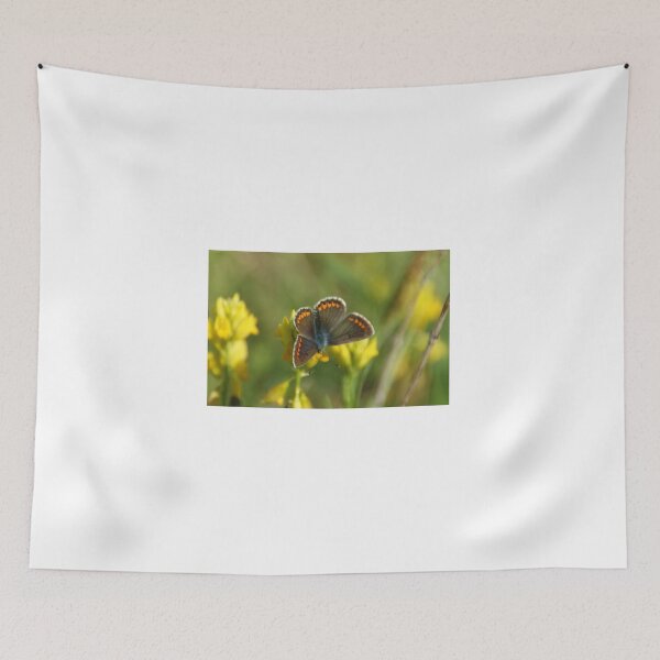 Item preview, Brown Argus designed and sold by marens.