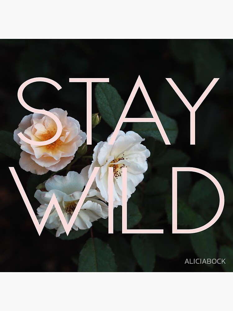Stay Wild (Rose) by ALICIABOCK
