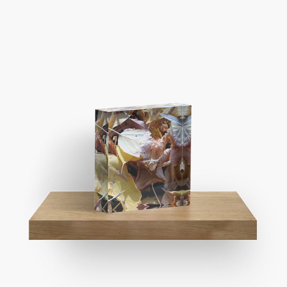 Herbst-Laub Acrylblock