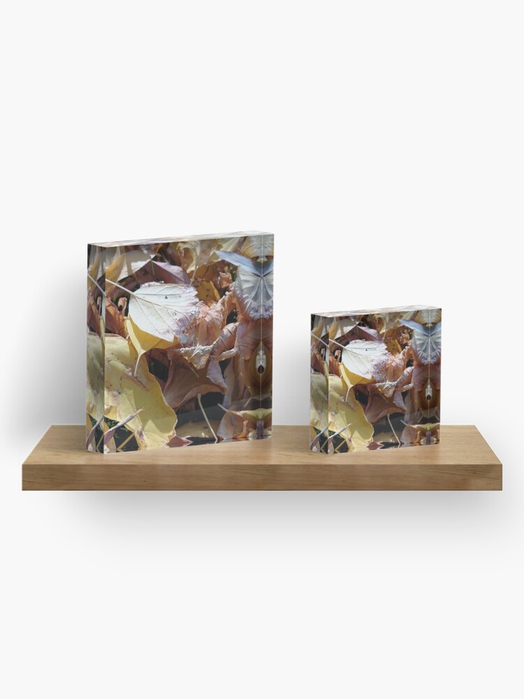 Alternative Ansicht von Herbst-Laub Acrylblock