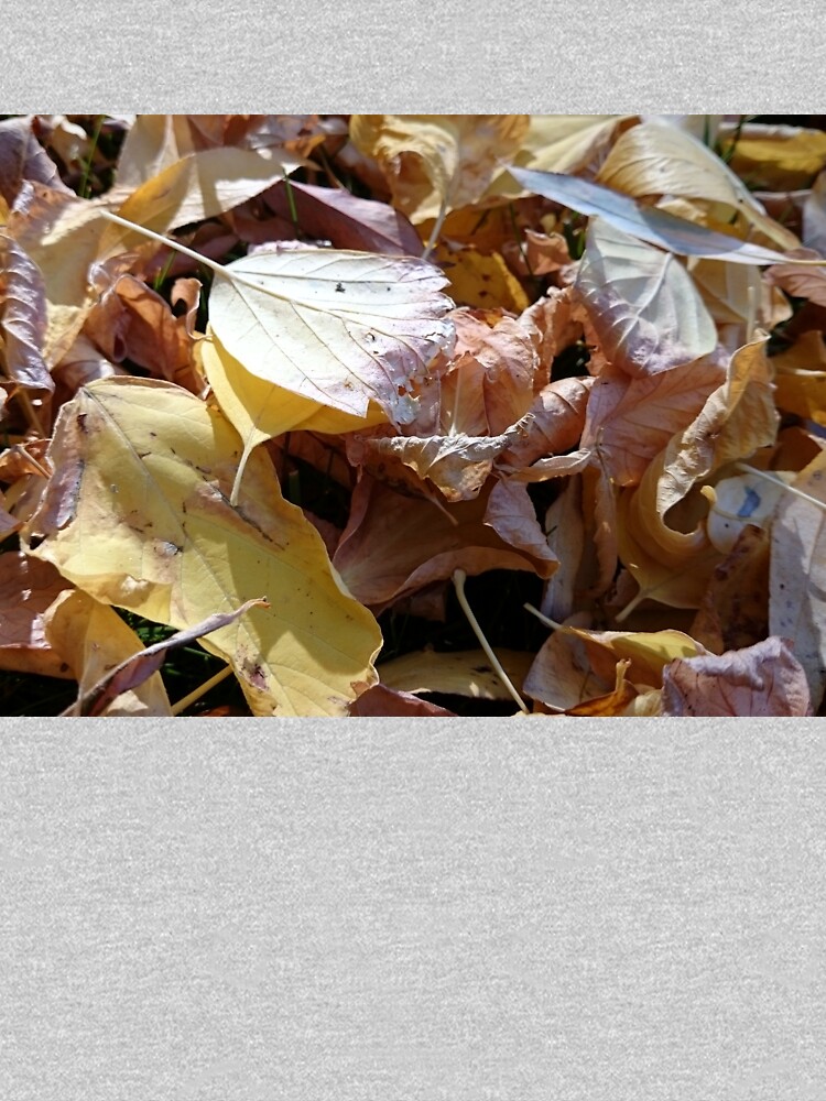 Herbst-Laub von Gourmetkater