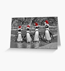 Penguins with Santa Claus caps Greeting Card