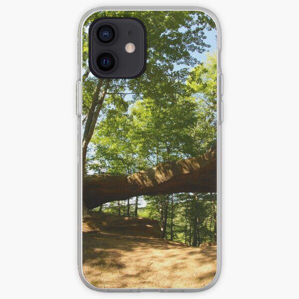 Princess Arch in Shadows iPhone Soft Case