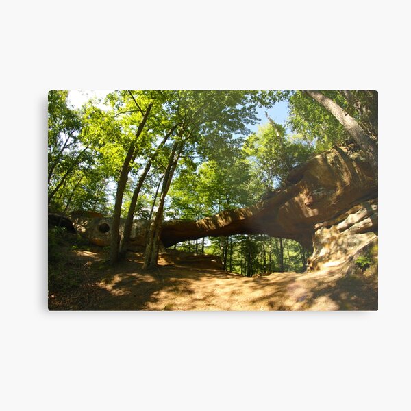 Princess Arch in Shadows Metal Print