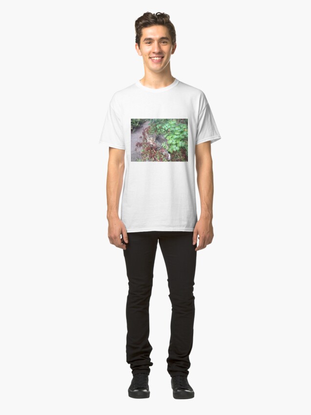 Alternative Ansicht von Katze Moritza Classic T-Shirt