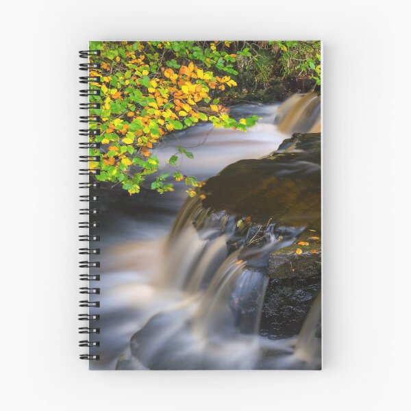 Artikelvorschau, Herbst Wald Stream entworfen und verkauft von northernwild.