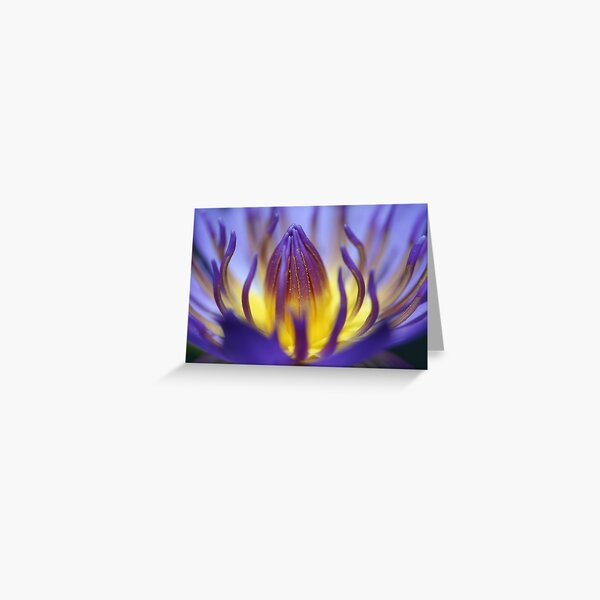 nymphaea caerulea Greeting Card