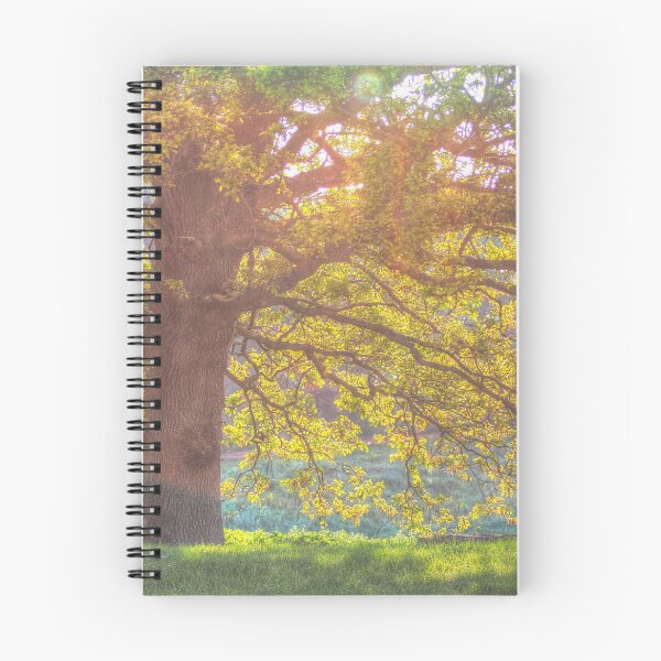Item preview, Sunset behind tree designed and sold by explorephotos.