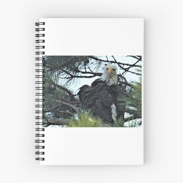 Item preview, Angry Eagle designed and sold by Dennis Deitz.