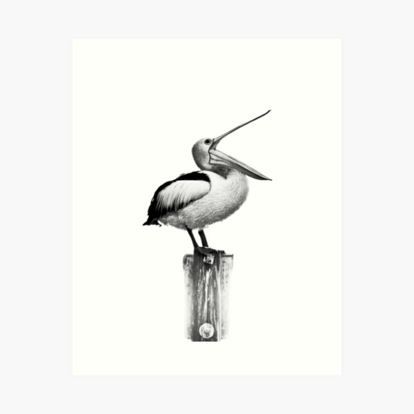 Item preview, Laughing Pelican designed and sold by Lisa Kenny.