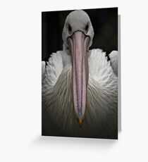 Mr. Pelican Greeting Card