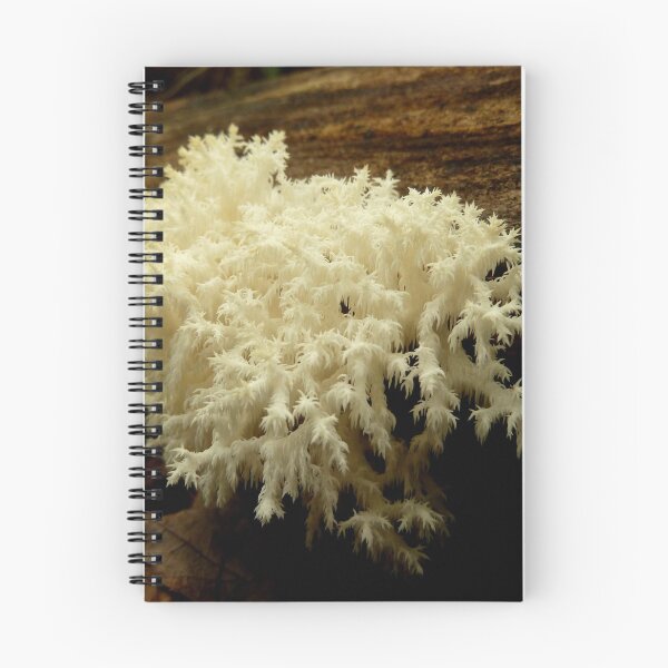 Item preview, CORAL TOOTH MUSHROOM designed and sold by SpiderMilkshake.