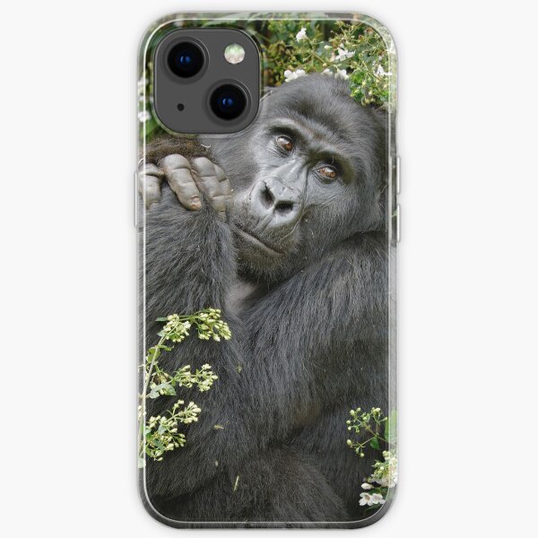 mountain gorilla, Uganda iPhone Flexible Hülle