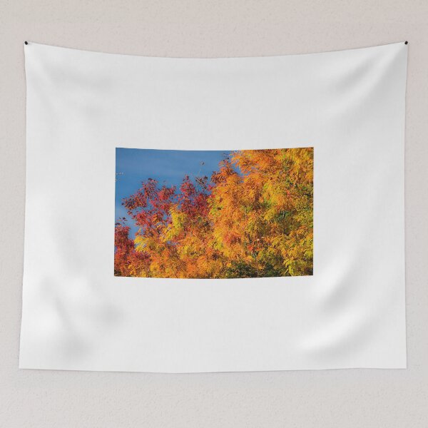 Item preview, COLOURS OF AUTUMN designed and sold by MIKESCOTT.