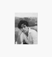 Cole sprouse Art Board