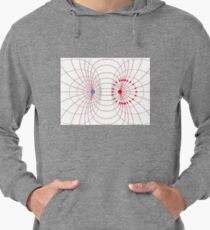 #science, #physics, #education, #scientific, #school, #symbol, #energy, #background, #illustration, #study, #power, #chemistry, #lab, #experiment, #technology, #abstract, #gravity, #sign, #white Lightweight Hoodie