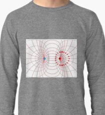 #science, #physics, #education, #scientific, #school, #symbol, #energy, #background, #illustration, #study, #power, #chemistry, #lab, #experiment, #technology, #abstract, #gravity, #sign, #white Lightweight Sweatshirt