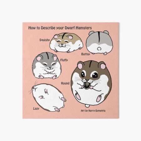 How to Describe your Dwarf Hamsters\