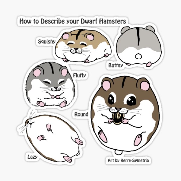 How to Describe your Dwarf Hamsters\